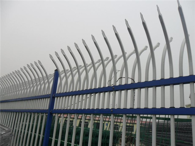 學校鋅鋼護欄圖片1 學校鋅鋼護欄圖片1